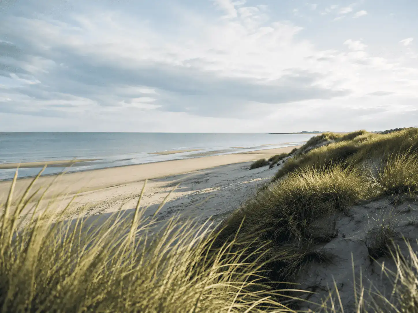 Dünenlandschaft an der Nordsee