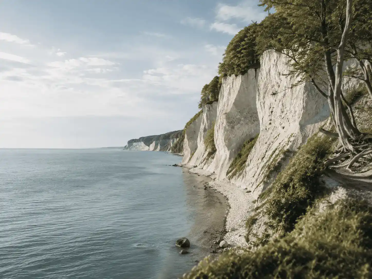 Kreidefelsen an der Ostsee